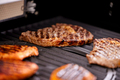 Gasolgrill 4 brännare + 1 bakre brännare 16,9 kW Grillexpert